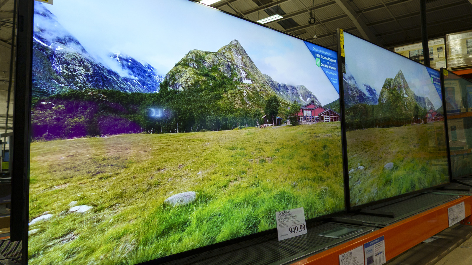 Costco Electronics: 5 Products with Poor User Reviews