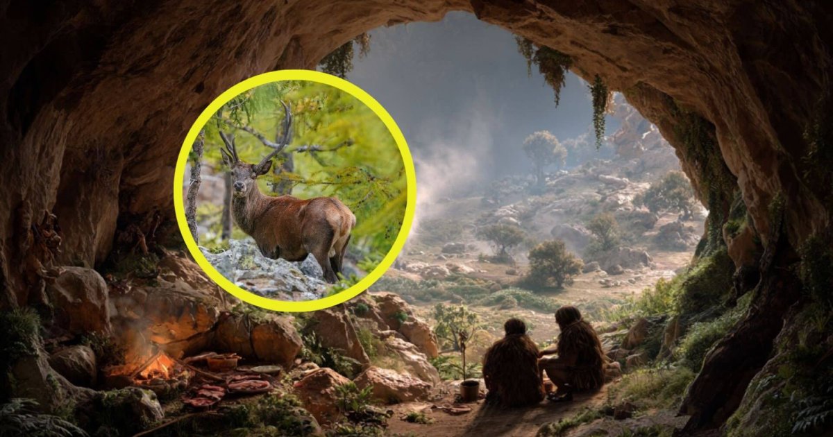 Prácticas de Subsistencia Neandertales en la Península Ibérica