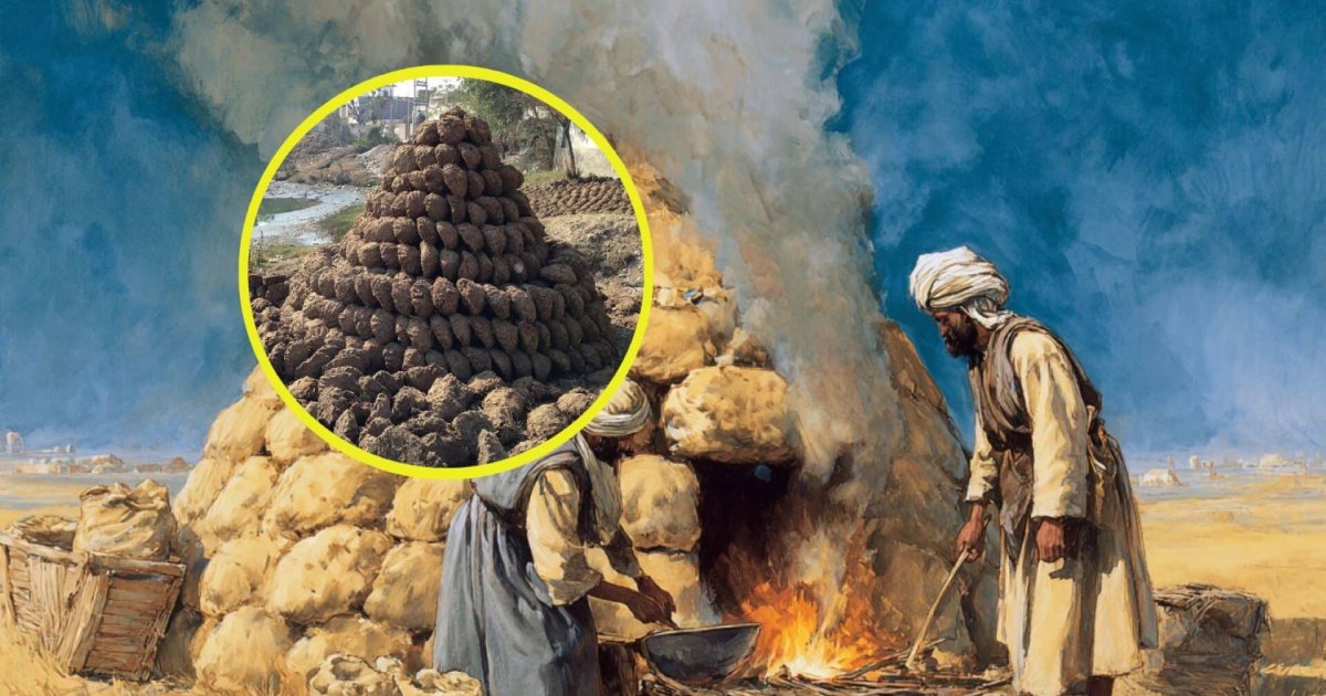 Estiércol: El motor energético de la antigua Mesopotamia