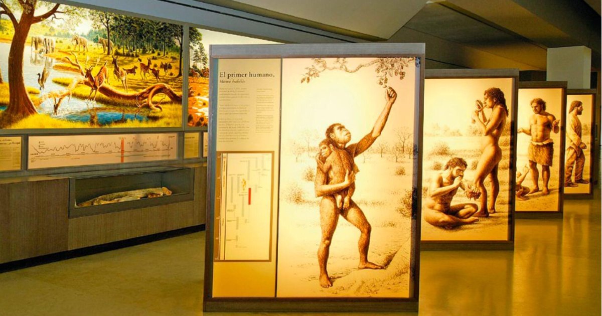 Excavaciones: Nuevas Investigaciones y Estudios Innovadores