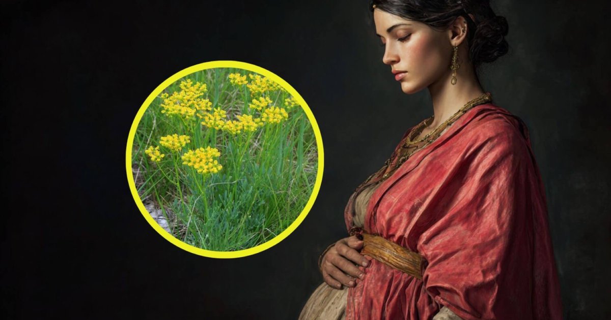 Antiguos anticonceptivos romanos: lo que usaban las mujeres