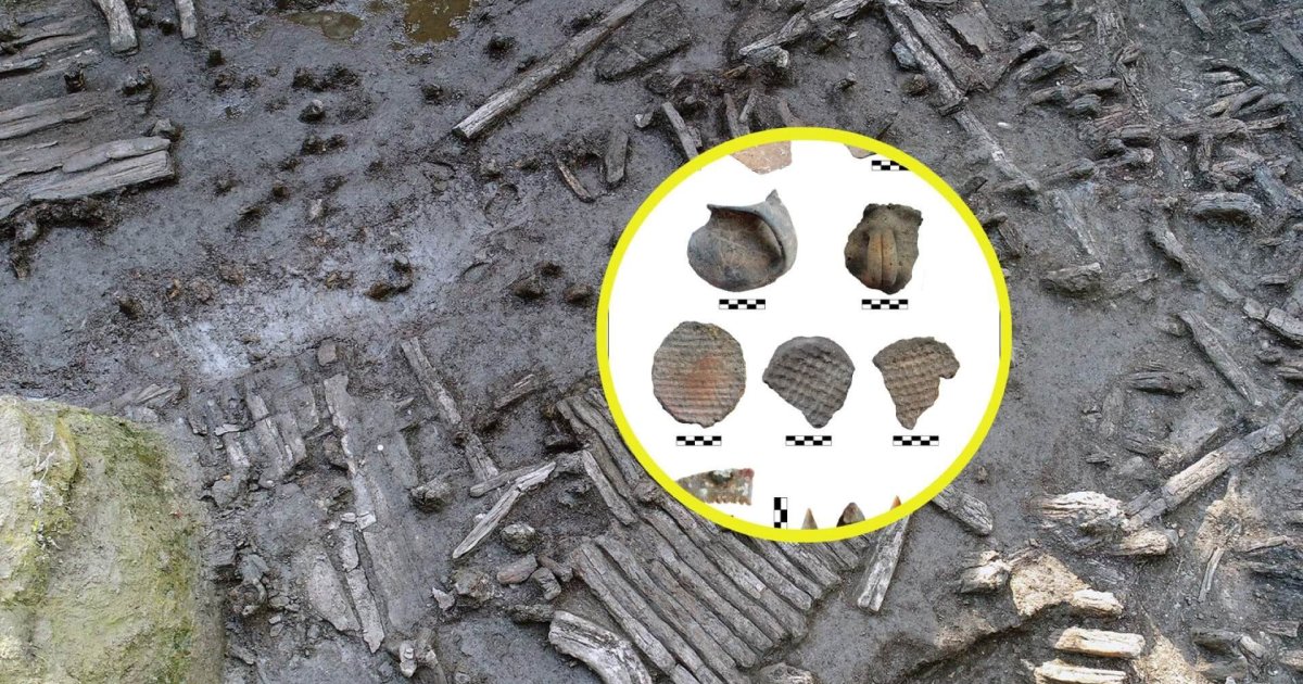 Dendrocronología y radiocarbono: el milenario origen de Tabakoni