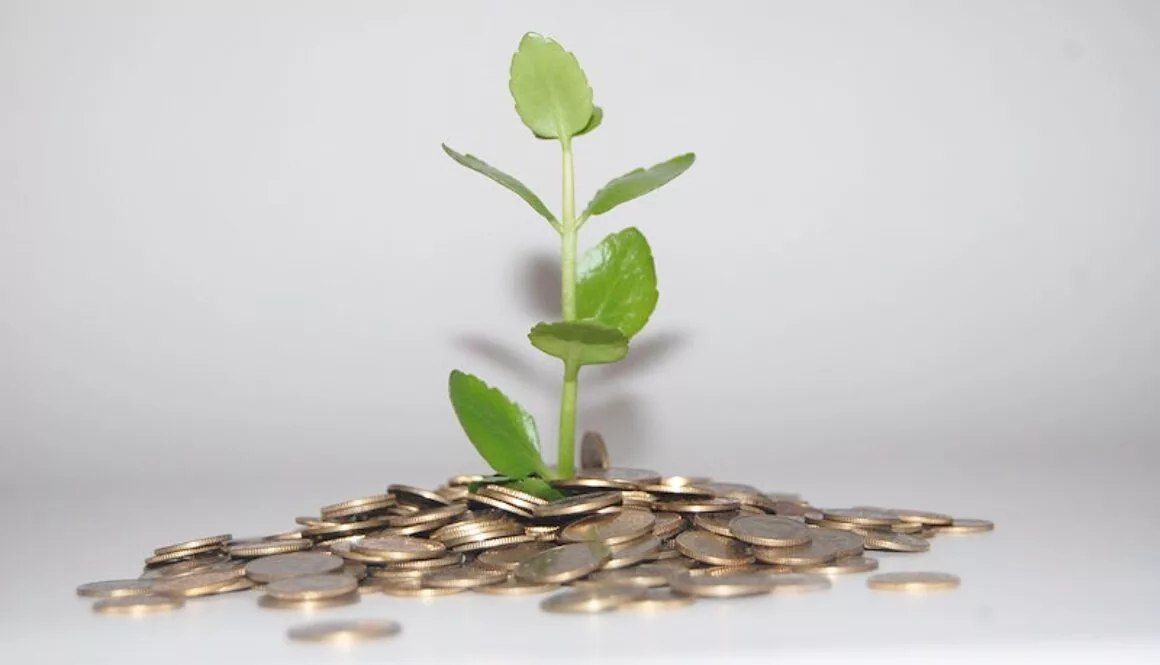 Inversión estratégica en agricultura profesional: maximiza tus ganancias