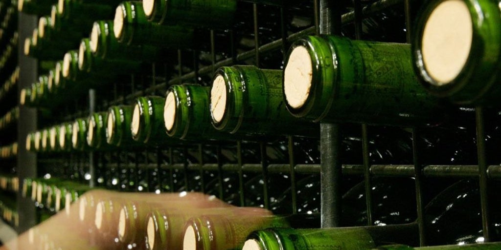 D. O. de Castilla y León: Resiliencia en la Caída del Consumo de Vino