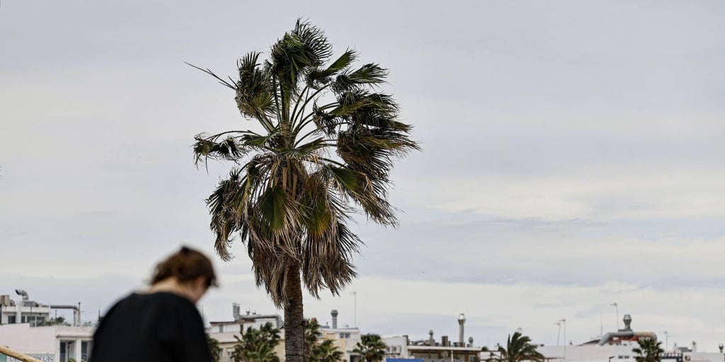 Viento en Valencia: alerta roja y rachas de hasta 172 km/h