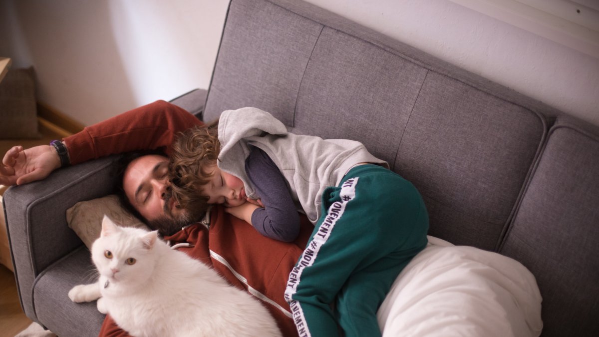 Dormir con tus mascotas: Impacto en tu salud y bienestar