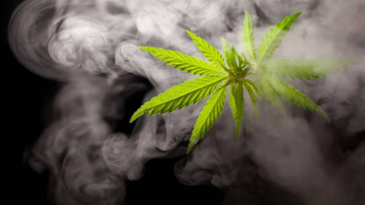 Marihuana y ansiedad: ¿Realmente la ciencia la respalda?