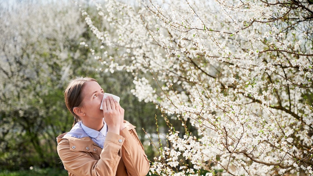 Urgencias por alergias respiratorias aumentan un 25% en primavera