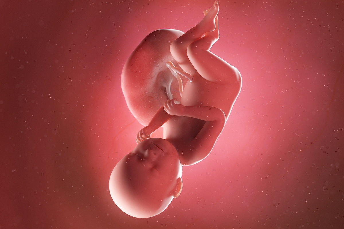 38 Semanas de Embarazo: Cambios en la Mujer y el Desarrollo del Bebé
