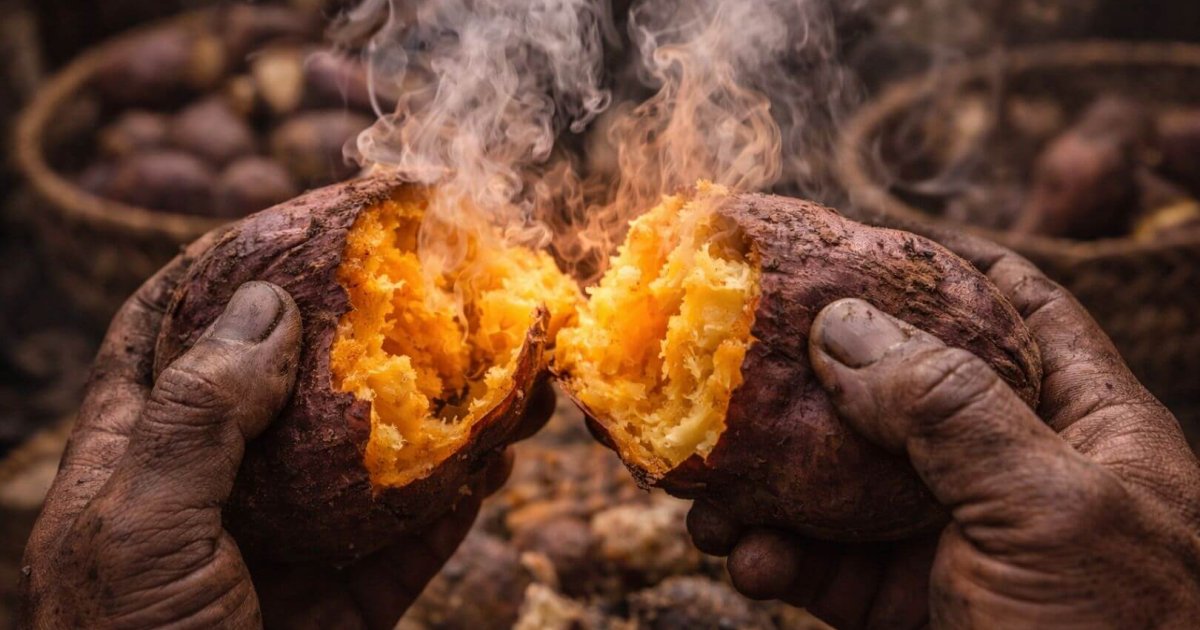 Dieta de los Māori: Revelaciones sorprendentes de hace 300 años