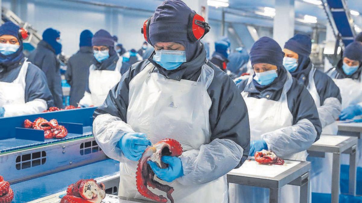 Profand: De salón a gigante global en la industria pesquera