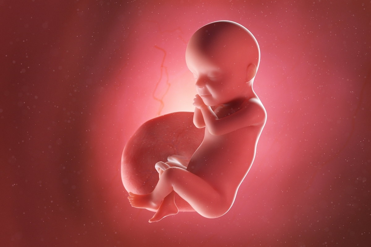 30 Semanas de Embarazo: Evolución del Bebé y Cambios en la Madre