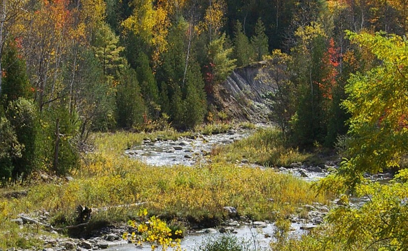 Activist Appeals for Carney’s Help on Pickering Lands Issues
