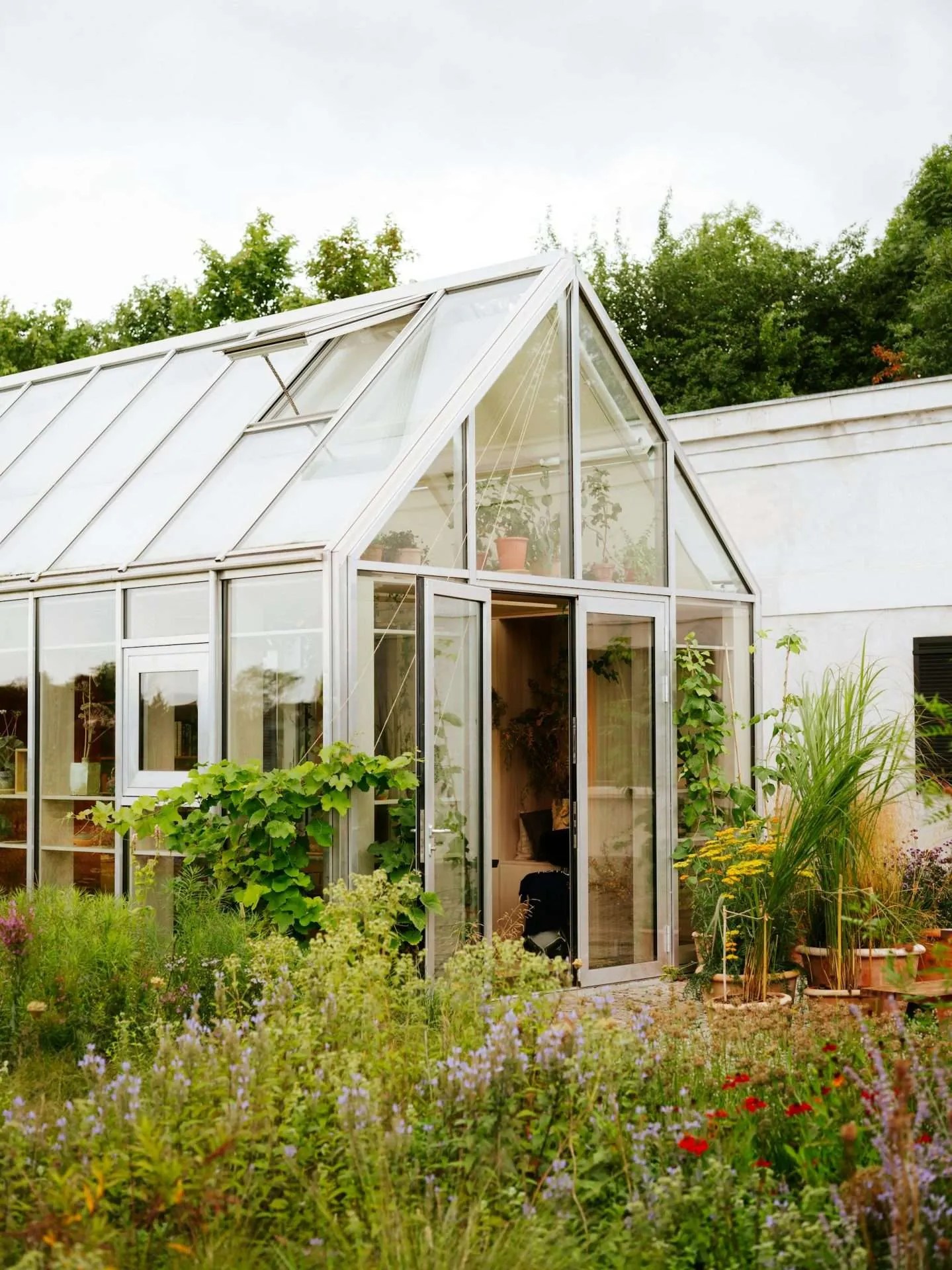 DIY Greenhouse: Build Your Own in 10 Simple Steps!