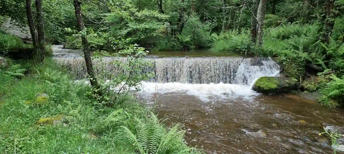 Descubre el Paseo Fluvial del Río Torina: Mapa y Rutas