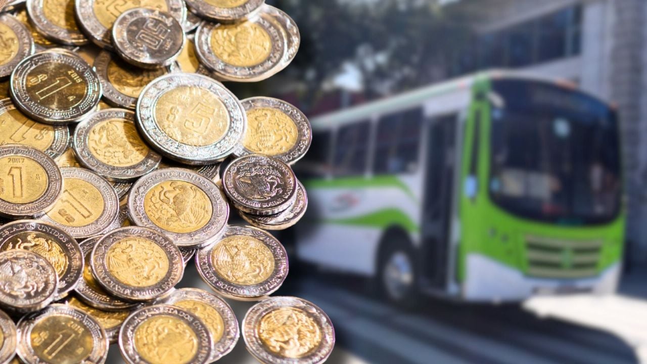 Flix amplía su red de autobuses económicos en ocho estados