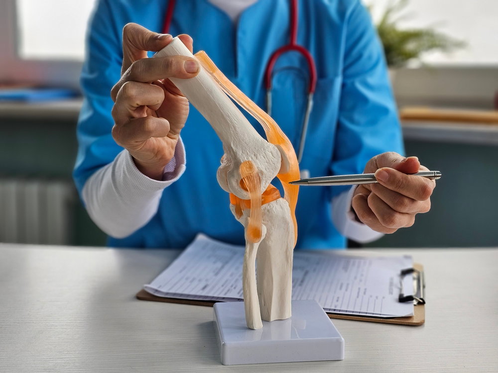Rodilla: Descubre sus partes, lesiones comunes y opciones de prótesis