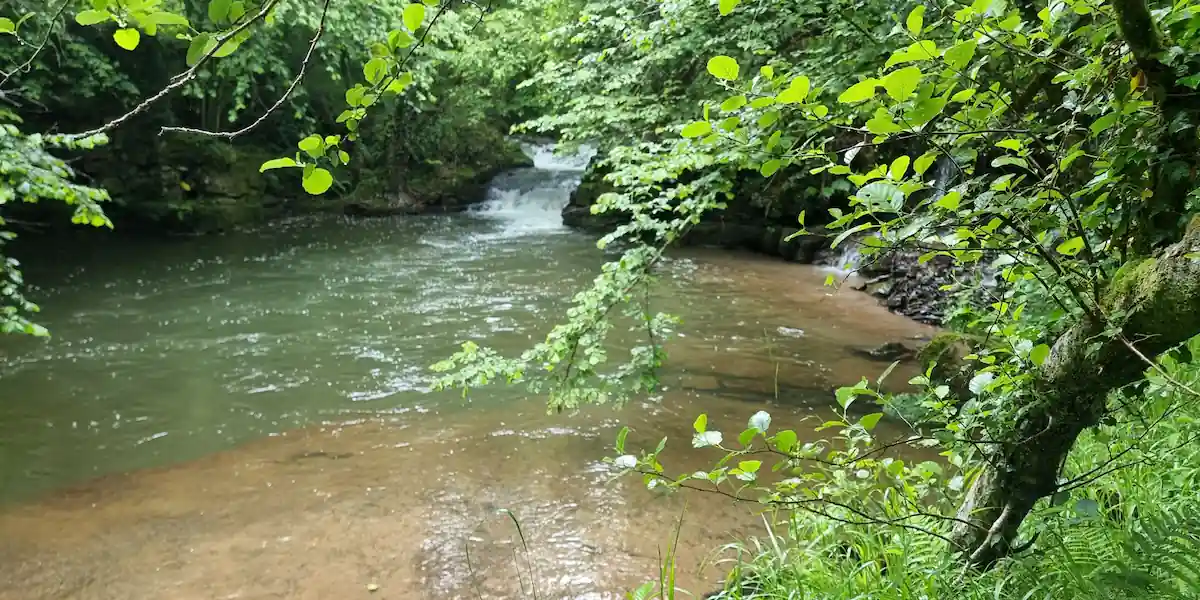 Cascadas del Río Troja: Mapa y Rutas Imperdibles