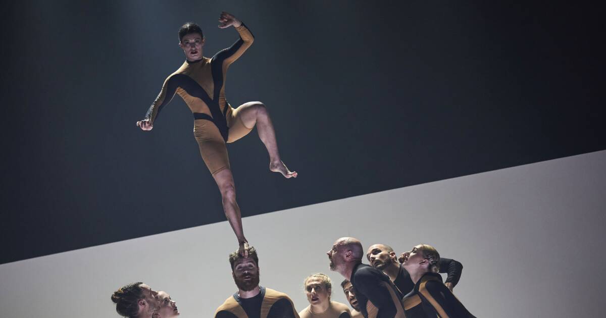 Gravity-Defying Circus: A Thrilling New Addition to Annual Line-Up
