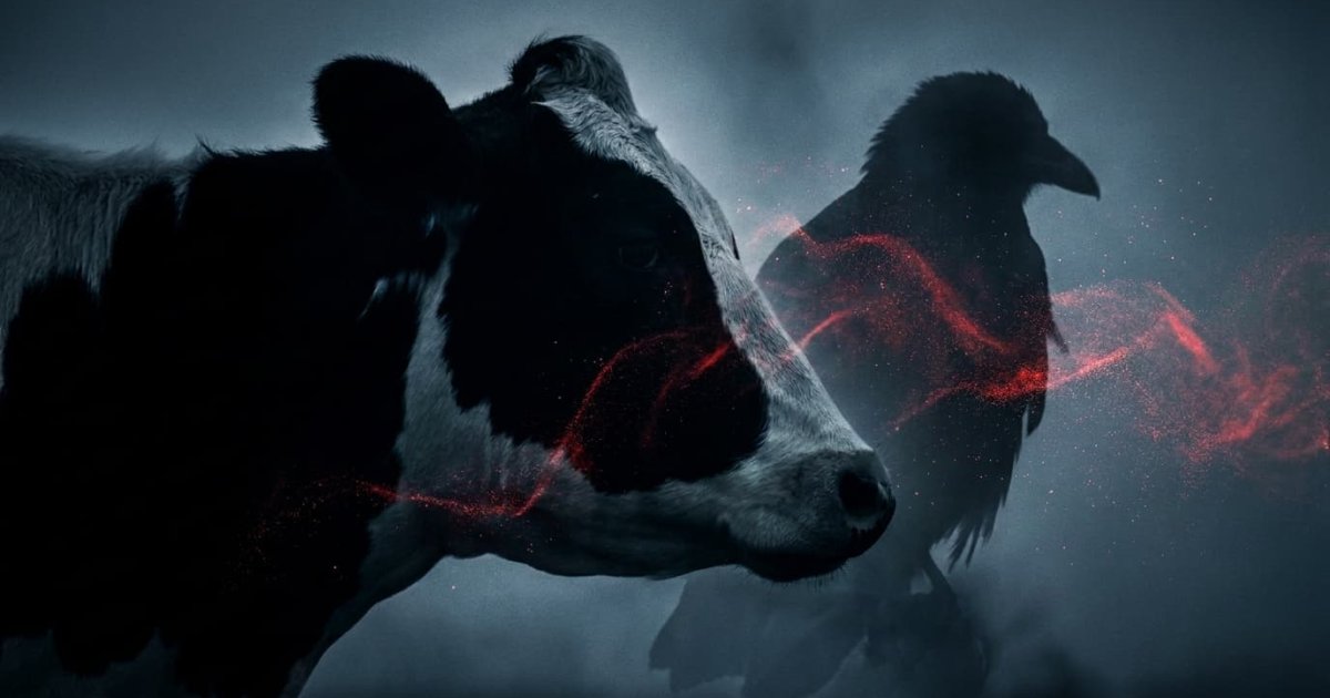 Infección por gripe aviar en vacas: el porqué celular revelado