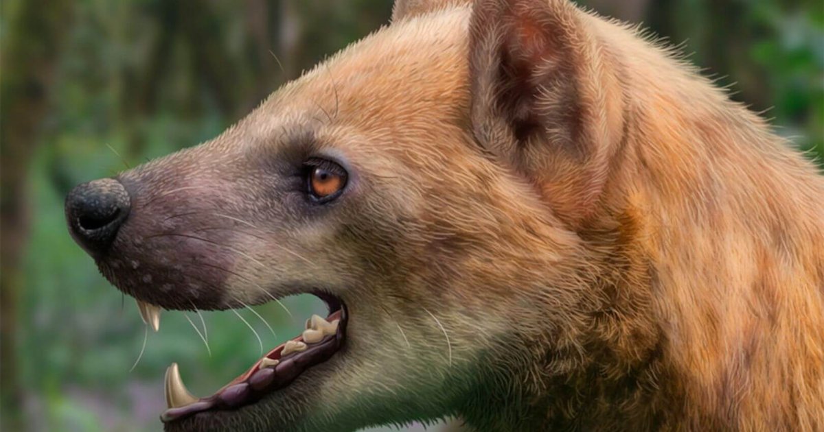 Nuevo ‘perro-oso’ en Cataluña: hallazgos sobre cazadores del Mioceno