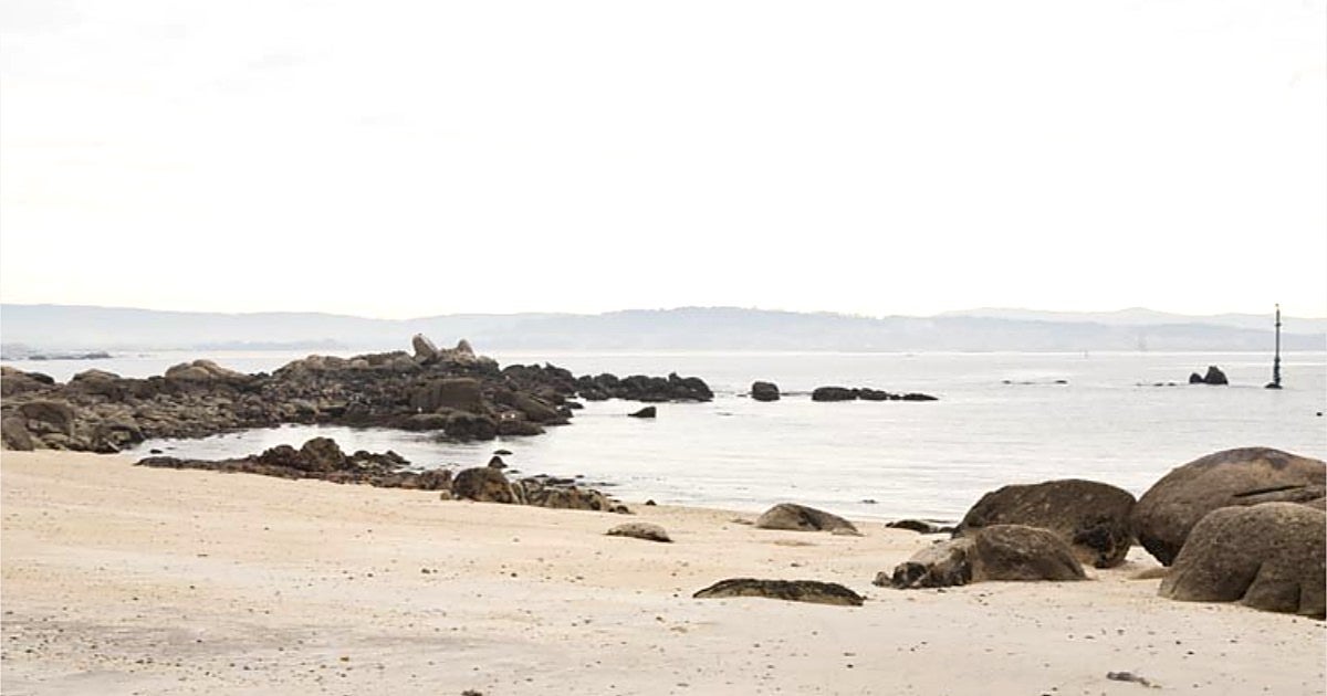 Playa para perros en Galicia: arena fina y aguas tranquilas