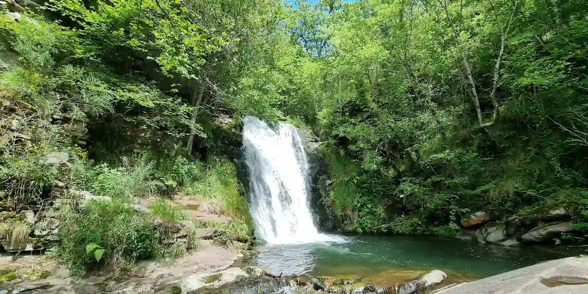 Explora las Rutas Más Impresionantes del Parque Natural Saja-Besaya