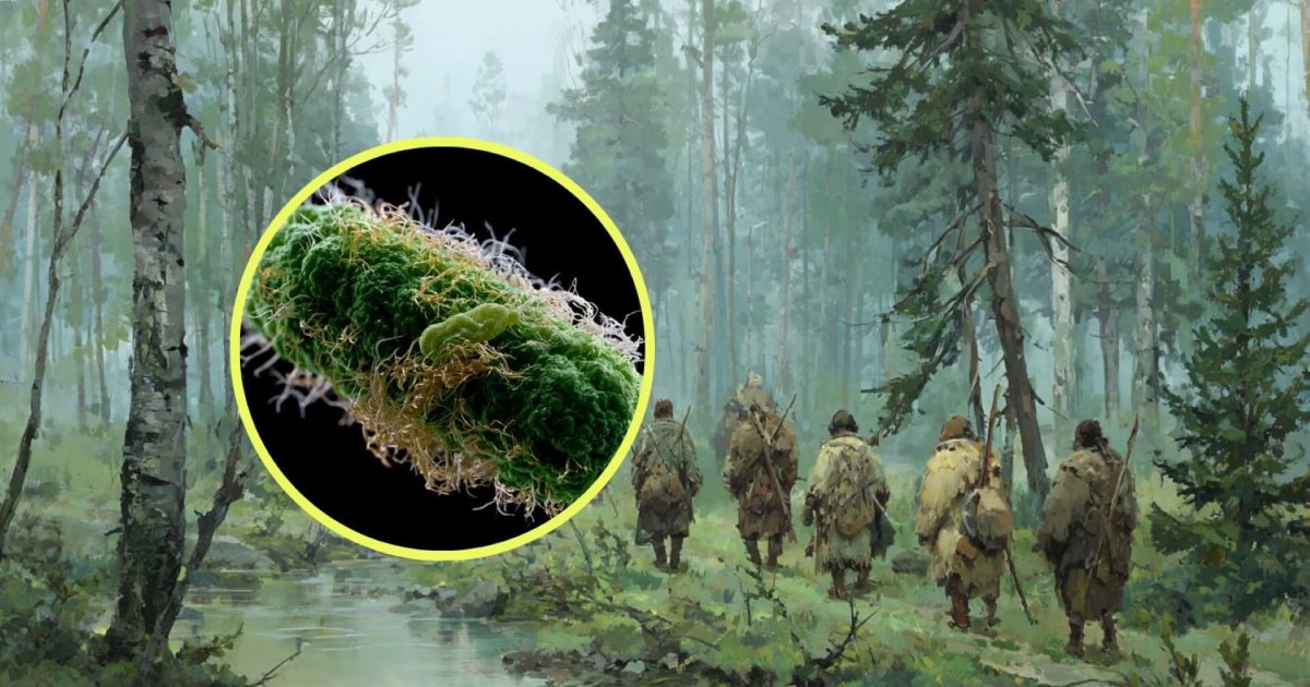 Y. pestis: Hallazgo de cepa mortal de 5.500 años en Siberia