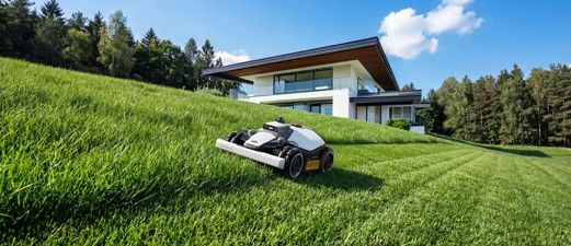Climate Gardening: Adaptación de Jardines en Climas Extremos