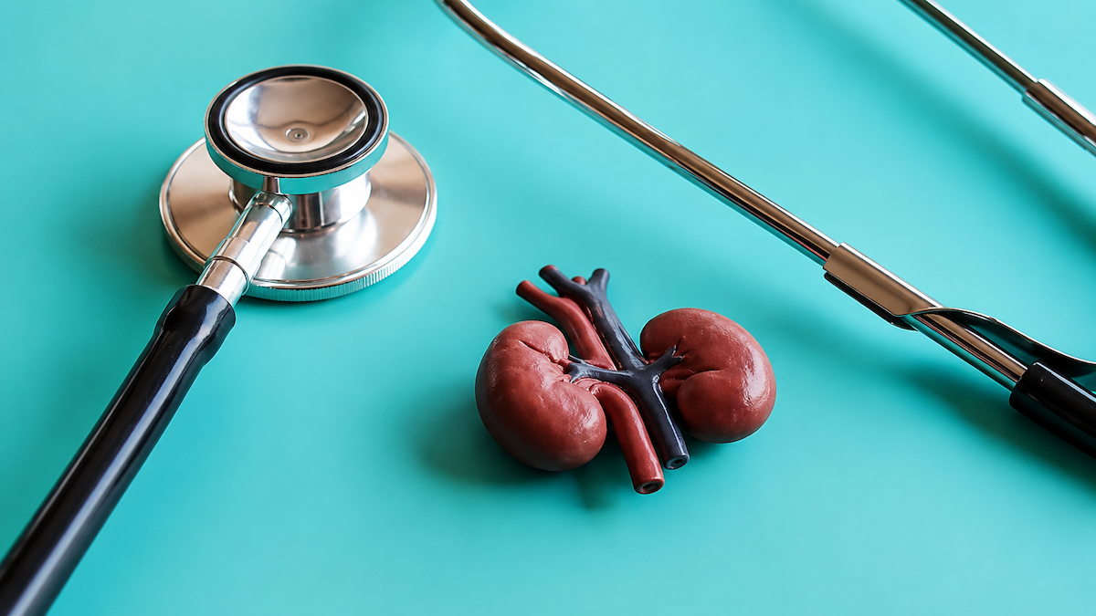 Detección precoz de la enfermedad renal crónica: nuevo modelo multidisciplinar