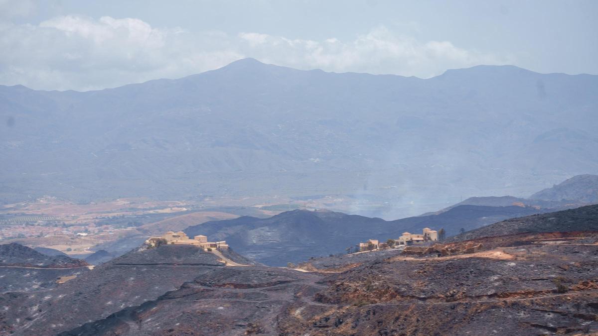 Incendio en Los Gallardos, Almería: Perspectivas Favorables de Estabilización