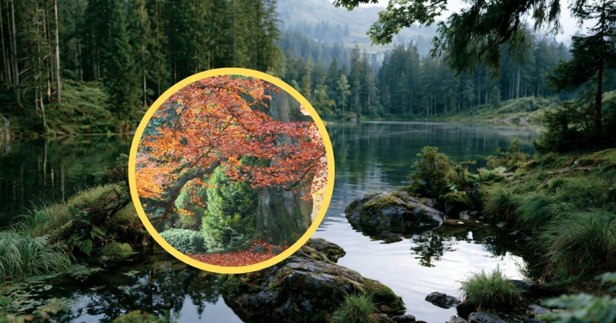 Polen revela cómo la agricultura neolítica impulsó la biodiversidad en Europa