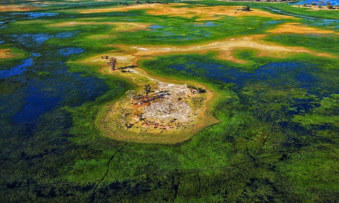 Safari inolvidable en el Delta del Okavango: aventura salvaje