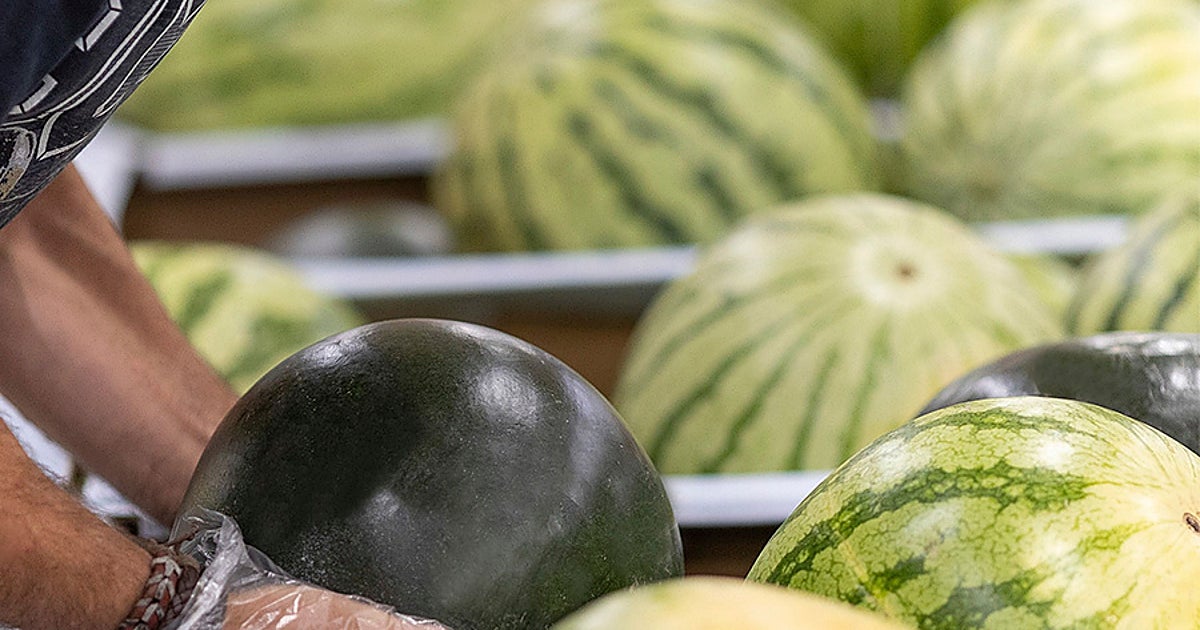Sandías de Mercadona: Origen confirmado para este verano