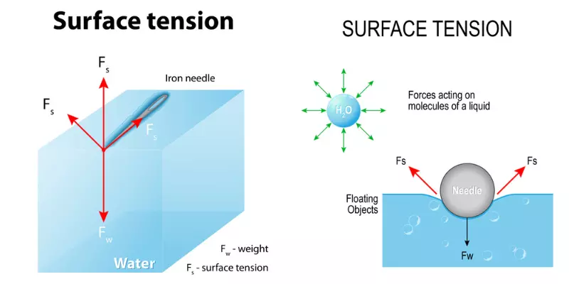 Surfactants: Unraveling Their Role in Reducing Surface Tension