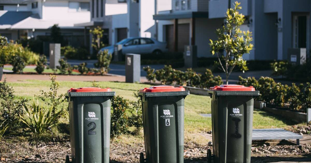 Waste Collection Feedback: Is Your Bin Overflowing?