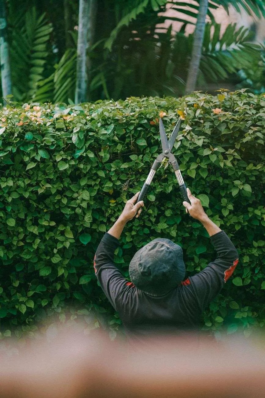 2026’s Top 10 Garden Features Buyers Steer Clear Of