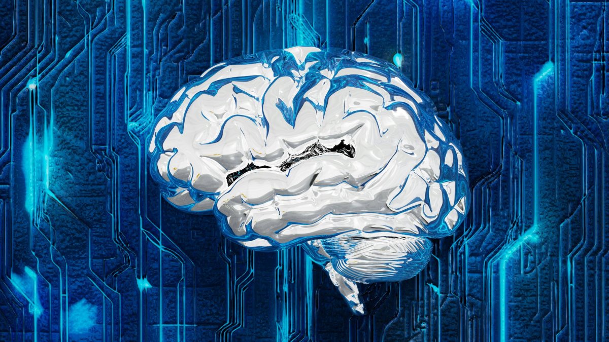4 Factores Esenciales que un Neurólogo Recomienda para Proteger tu Cerebro