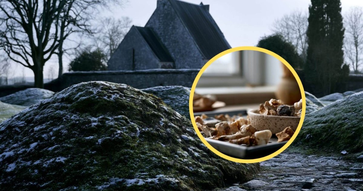 ADN de 142 esqueletos revela secretos de las costumbres funerarias vikingas