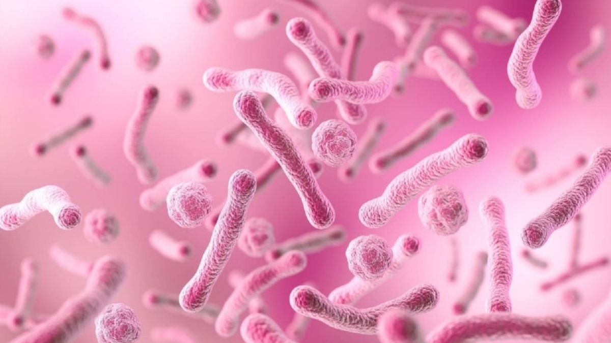 Bacteria carnívora provoca siete muertes en EE. UU.: alerta roja