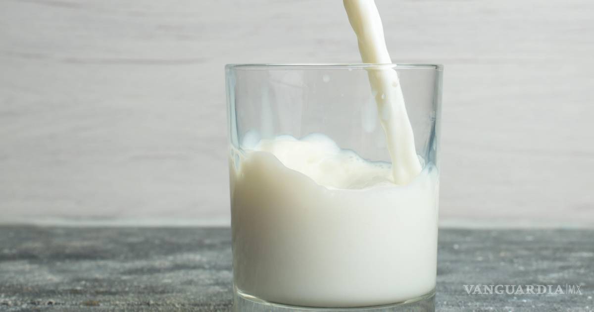 Beneficios de un vaso de leche según Profeco: ¡Descúbrelos!