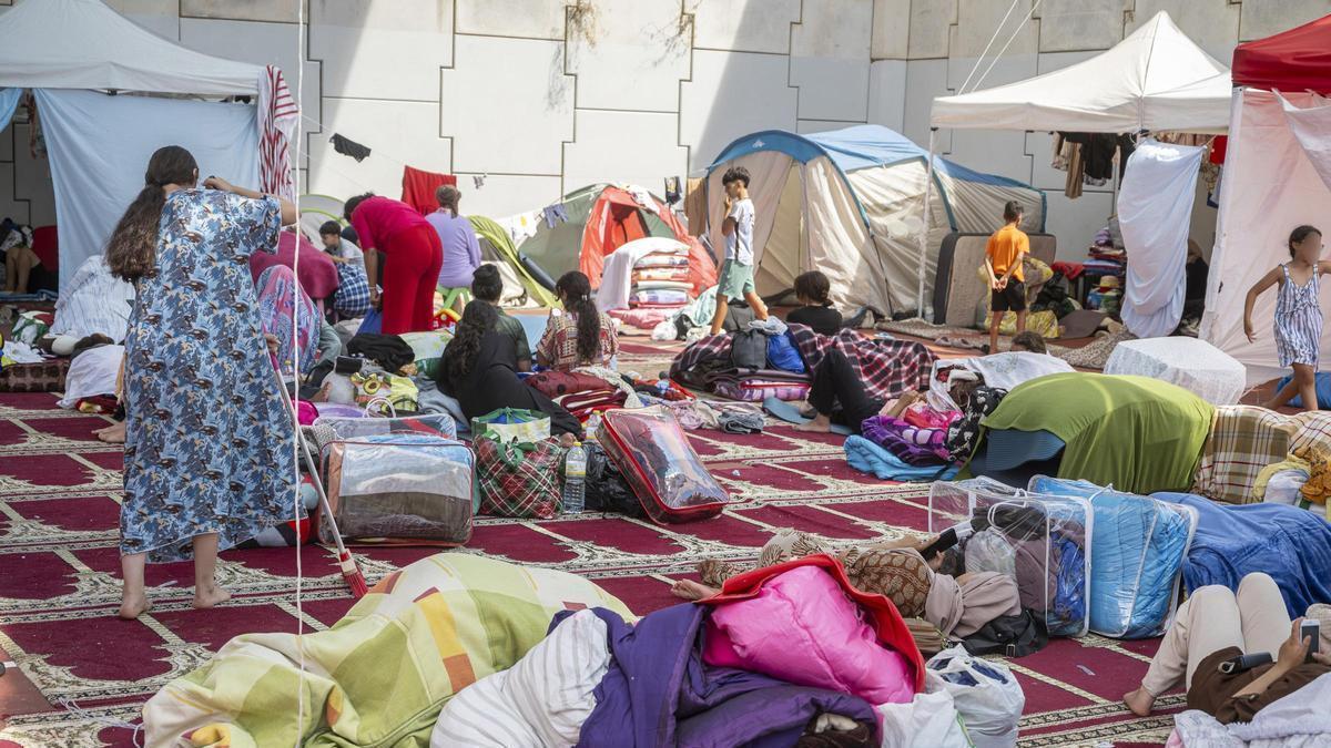 Boicot al Reparto de Alimentos para Migrantes: ¡Actúa Ya!