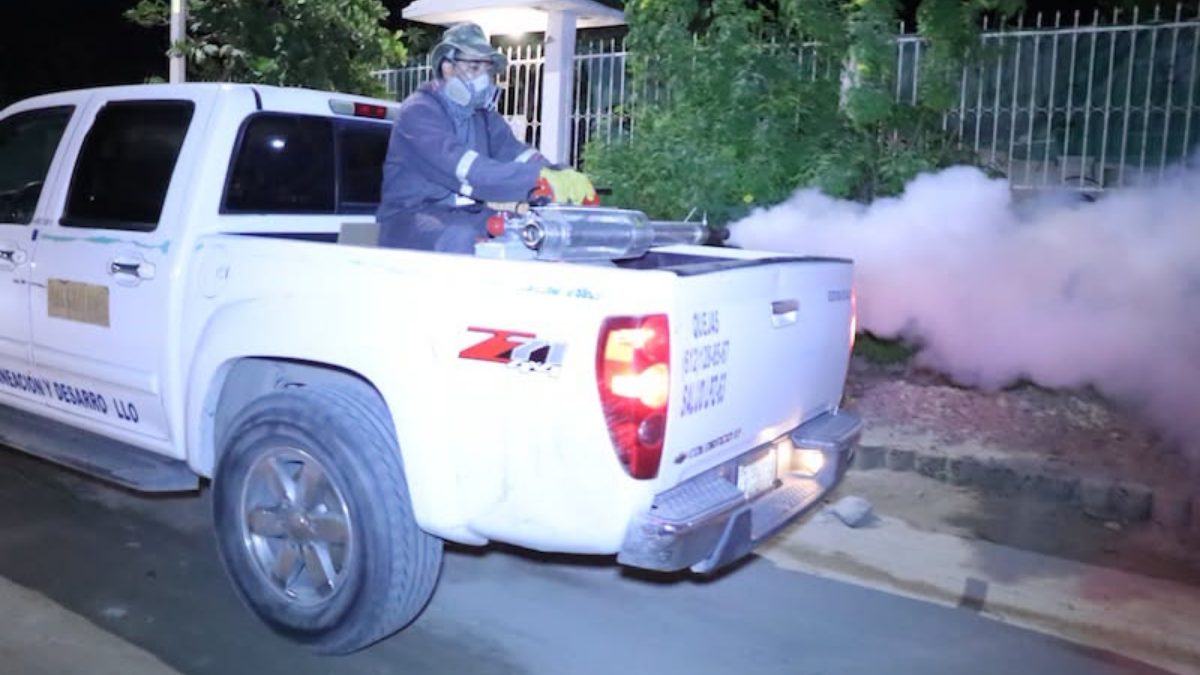 Dengue en Los Cabos: 74 casos confirmados y fumigación intensiva