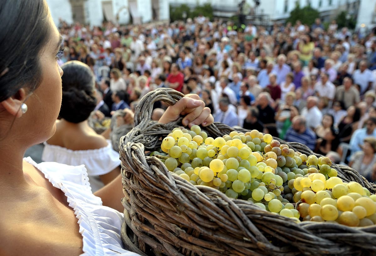 Fiestas del vino: 15 destinos imperdibles para los amantes del vino