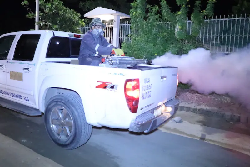 Fumigación contra el dengue en La Paz y Los Cabos: ¡Actúa ya!