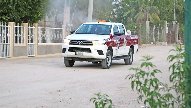 Fumigaciones en La Paz y Los Cabos por aumento del dengue