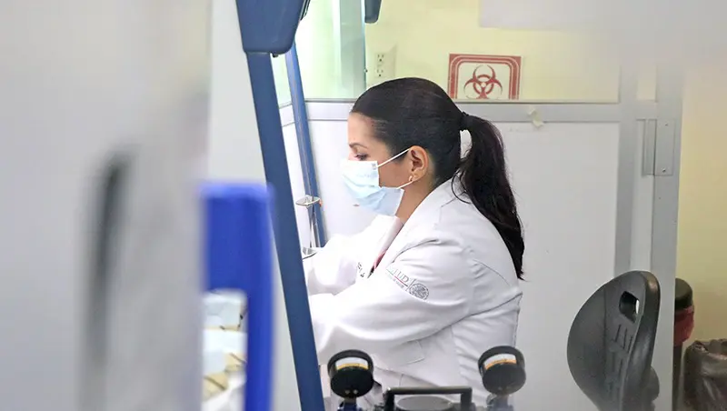 Laboratorio Estatal procesa 2,500 muestras para vigilancia en BCS