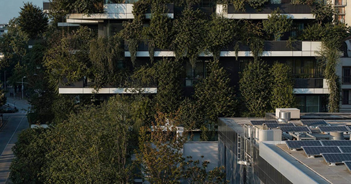 Plantas que faltan en nuestras ciudades y su impacto revelador