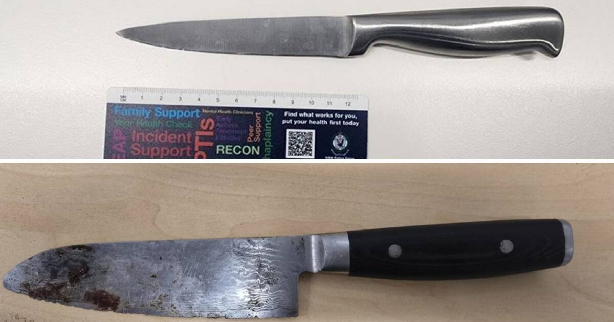 Police Arrest 20+ in Sydney-Newcastle Transport Crime Sweep