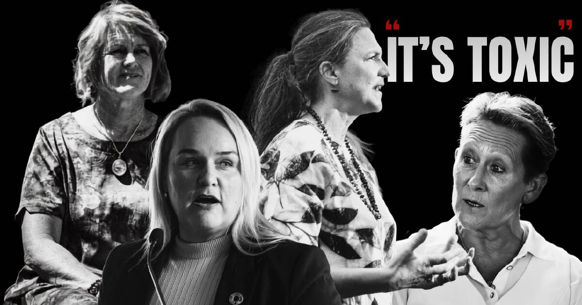Public Office Ambitions: Facing Abuse After Raising Their Hands